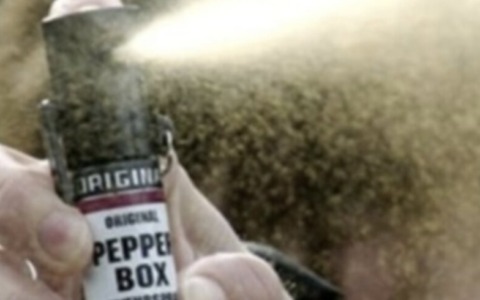 Spray al peperoncino sull'autobus a Capriano: tredici persone a terra