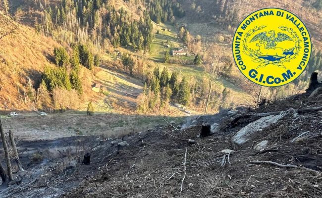 Incendi: la Regione dice che il rischio è passato. Ma chi pulisce il bosco?