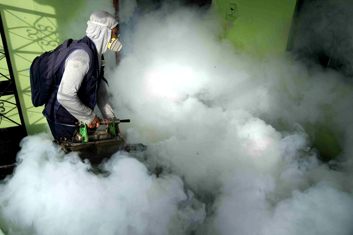 Zanzare e Dengue: ora ci spruzzano il veleno in faccia e noi stiamo chiusi