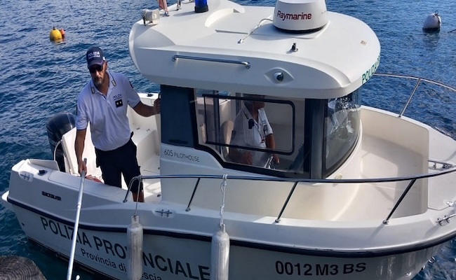 Inseguimenti e morsi sul Sebino: ma chi comanda davvero sul nostro lago?